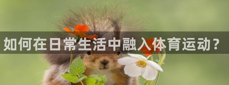 速球体育app最新版：如何在日常生活中融入体育运动？