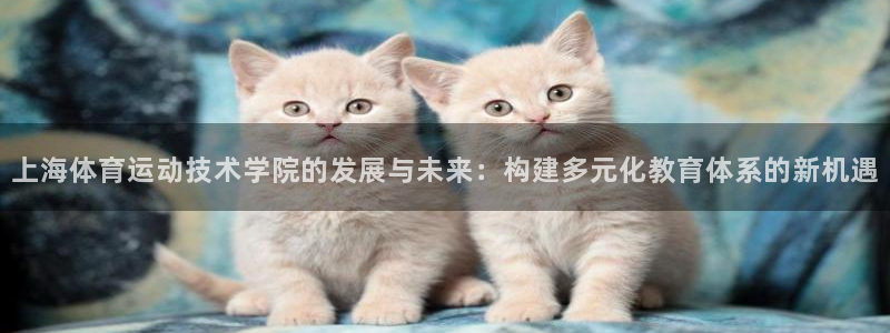 速球体育app：上海体育运动技术学院的发展与未来：构建多元化教育体系的新机遇