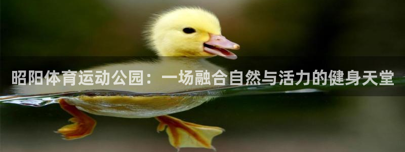 速球体育App下载：昭阳体育运动公园：一场融合自然与活力的健身天堂