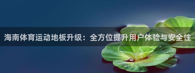 速球体育网址：海南体育运动地板升级：全方位提升用户体验与安全性