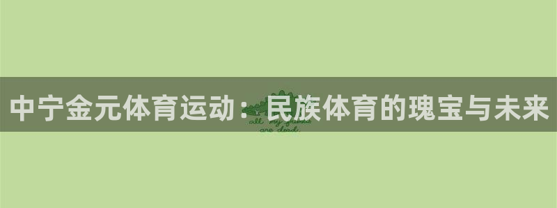 速球体育可以玩吗：中宁金元体育运动：民族体育的瑰宝与未来