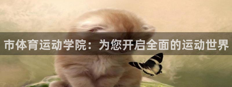 速球体育网址：市体育运动学院：为您开启全面的运动世界