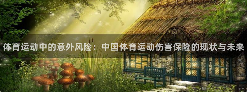 速球体育官网入口：体育运动中的意外风险：中国体育运动伤害保险的现状与未来