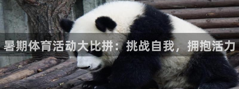 速球体育官网入口：暑期体育活动大比拼：挑战自我，拥抱活力