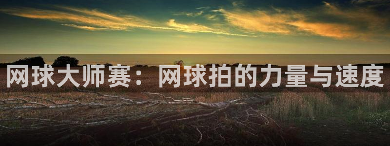 速球体育App下载：网球大师赛：网球拍的力量与速度